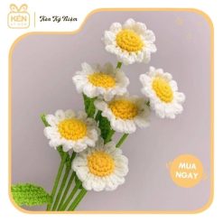 Bó hoa cúc họa mi len - Mix 10 bông 2