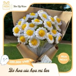 Bó hoa cúc họa mi len - Mix 10 bông