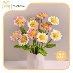 Bó hoa cúc họa mi len - Mix 10 bông 3