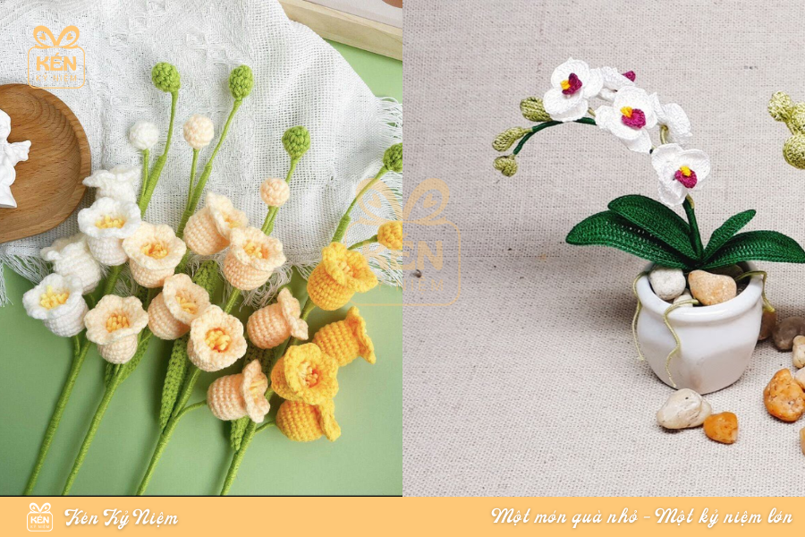 lễ tốt nghiệp tặng hoa gì