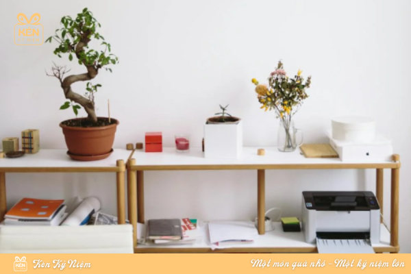 Đồ lưu niệm - Sản phẩm cây cảnh