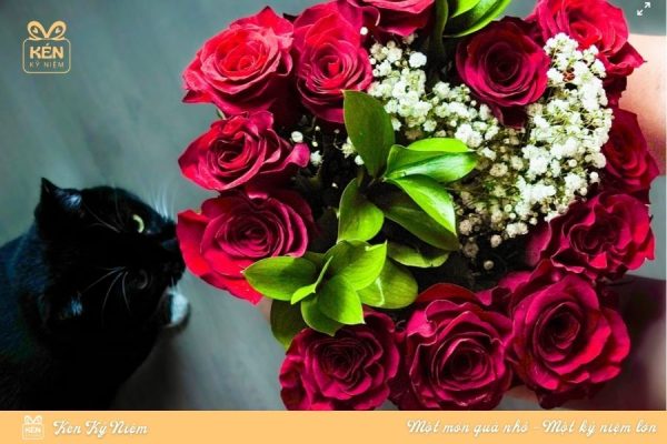 Lễ tốt nghiệp nên tặng hoa gì
